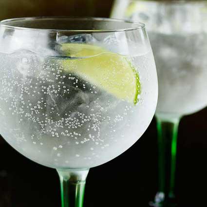 Gin Tonic Maison